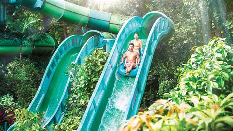 adventure park sentosa|Book Adventure Cove Waterpark Tickets .